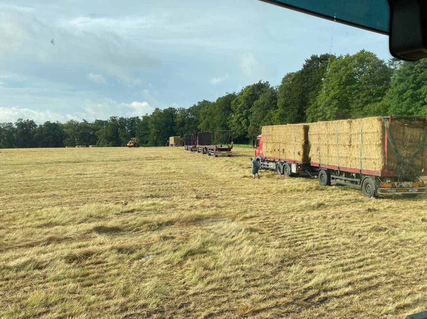 halm 80 halmtransport